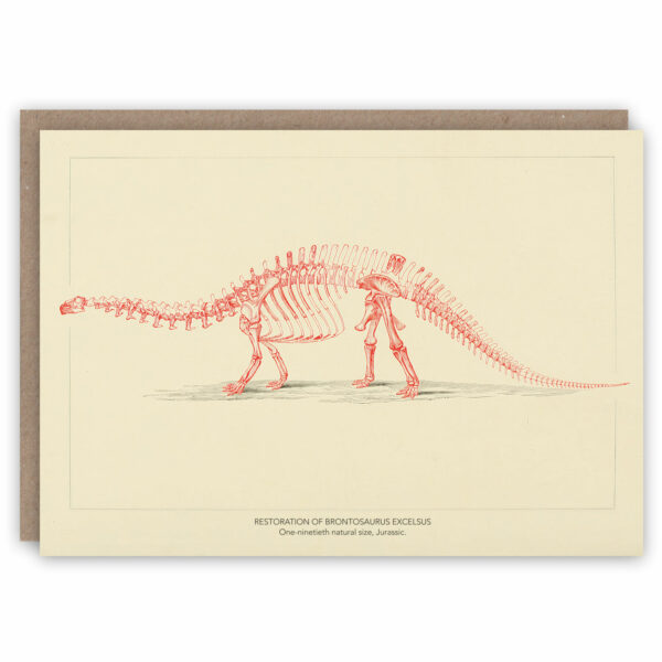 Brontosaurus skeleton dinosaur greeting card