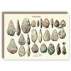 Greeting card showing flint tools