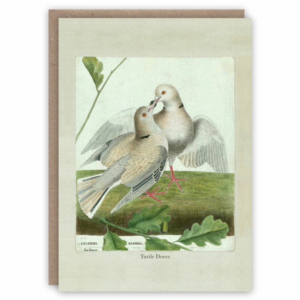 Greeting card illustrating 2 turtle doves