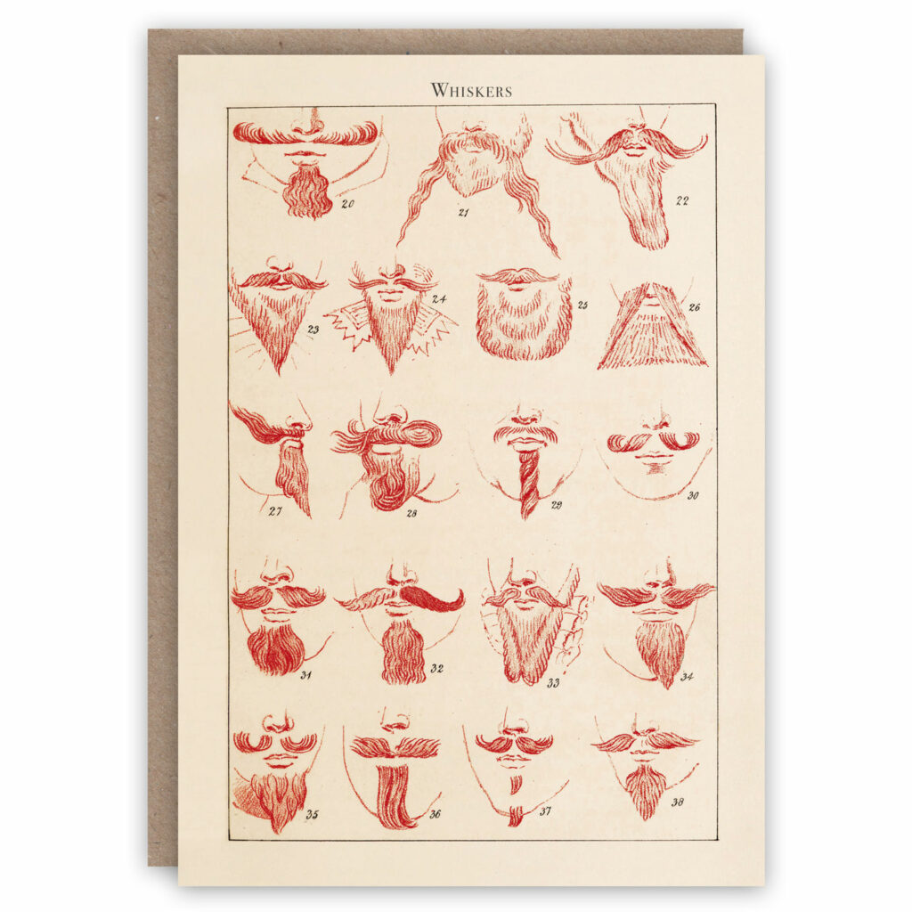 Types of beards and whiskers greeting card