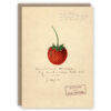 Greeting card illustrating strawberry by Deborah Griscom Passmore