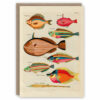 Greeting card illustrating some of Louis Renard's fish