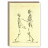 Anatomy greeting card