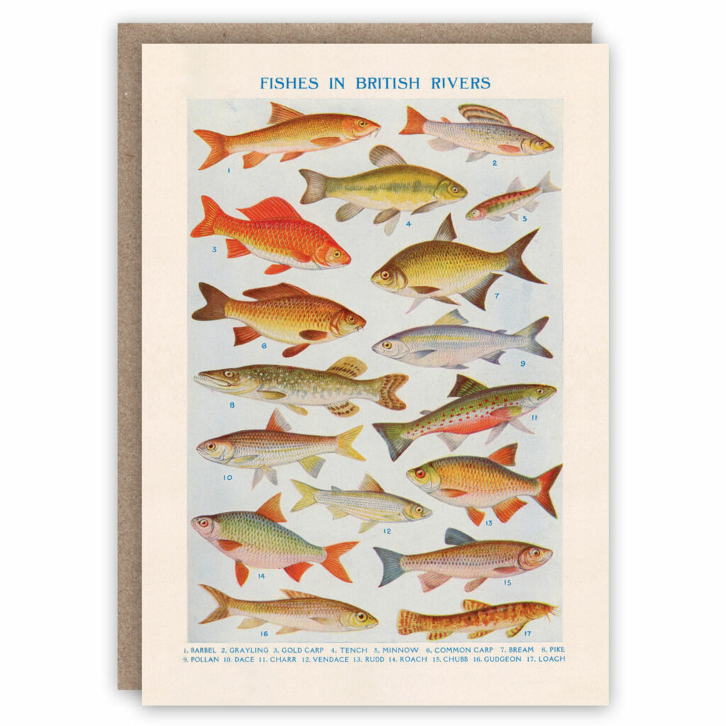 British river fish greeting card