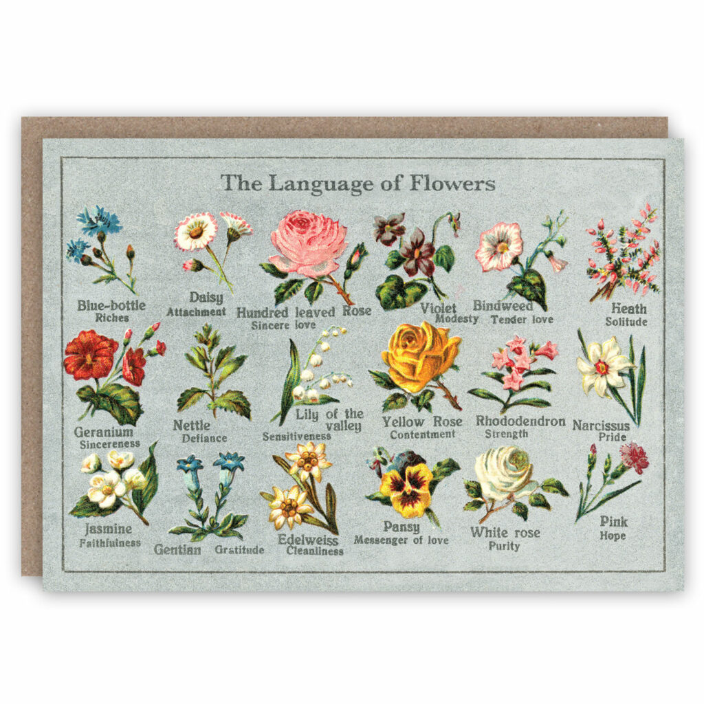 Greeting card illustrating flowers and associated emotions