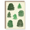 Tree greeting card