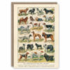 Vintage dog breeds greeting card