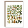 Greeting card illustrating types of fruit