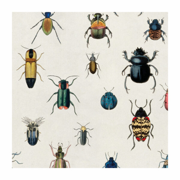 Detail from bug wrapping paper