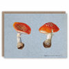 Greeting card illustrating fly agaric mushroom