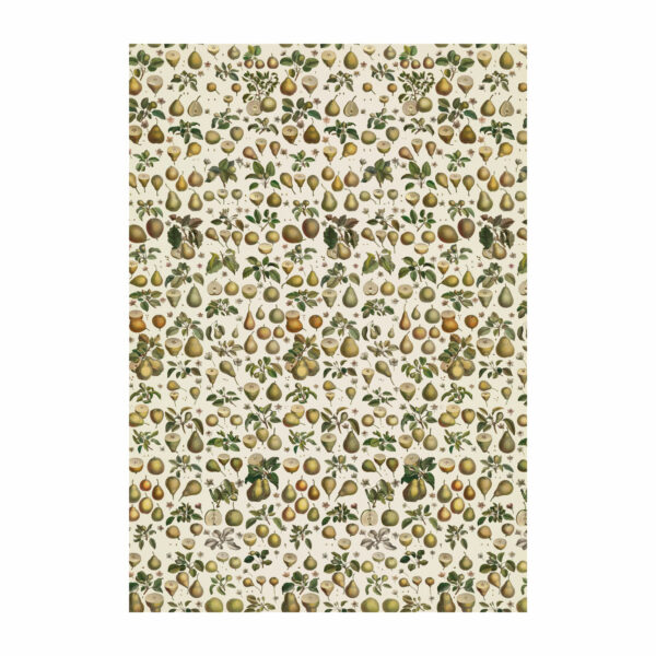 Fruit wrapping paper with pattern created from pears illustrations