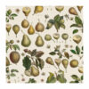 Detail from fruit wrapping paper with pattern created from pears illustrations