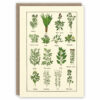 Herbs greeting card