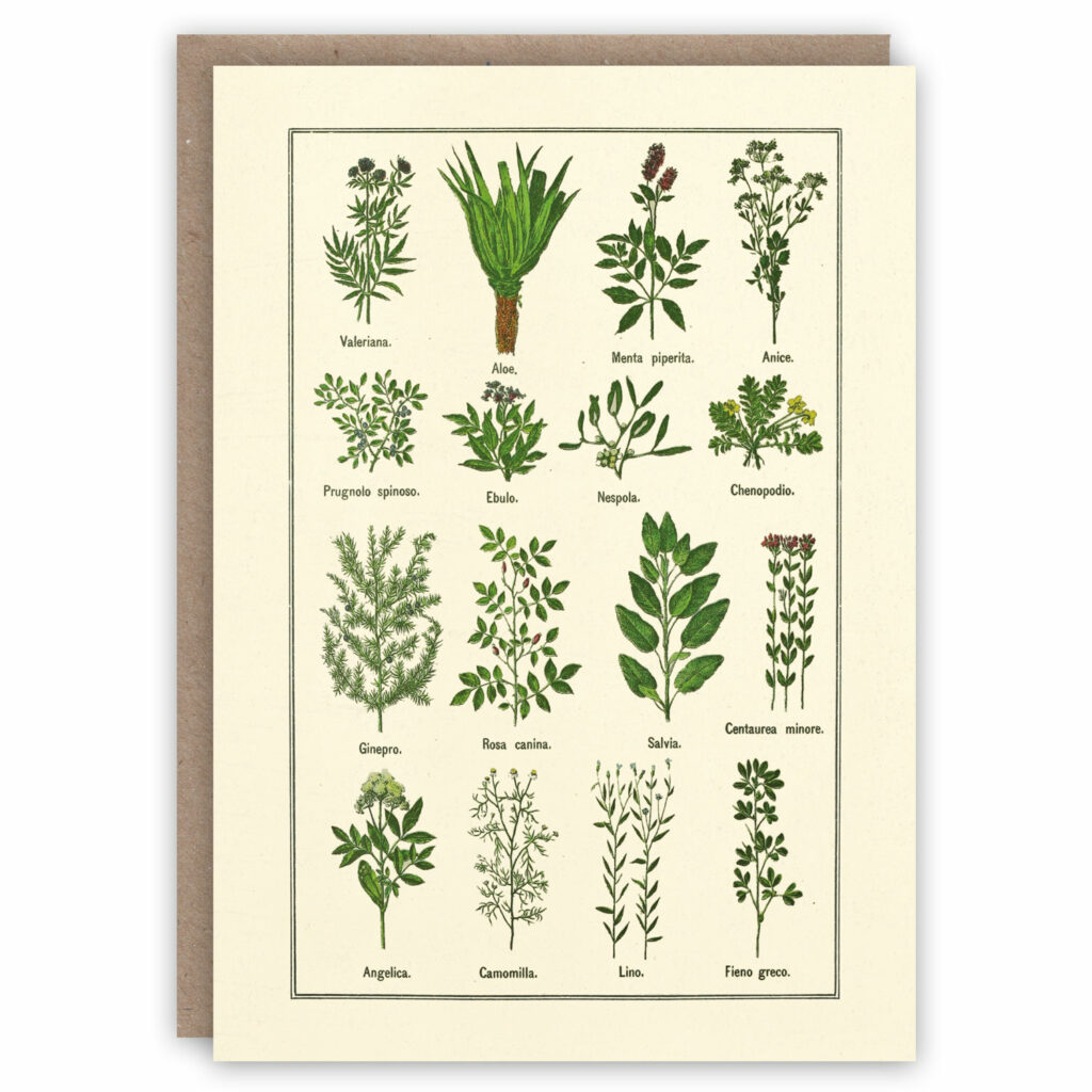 Herbs greeting card