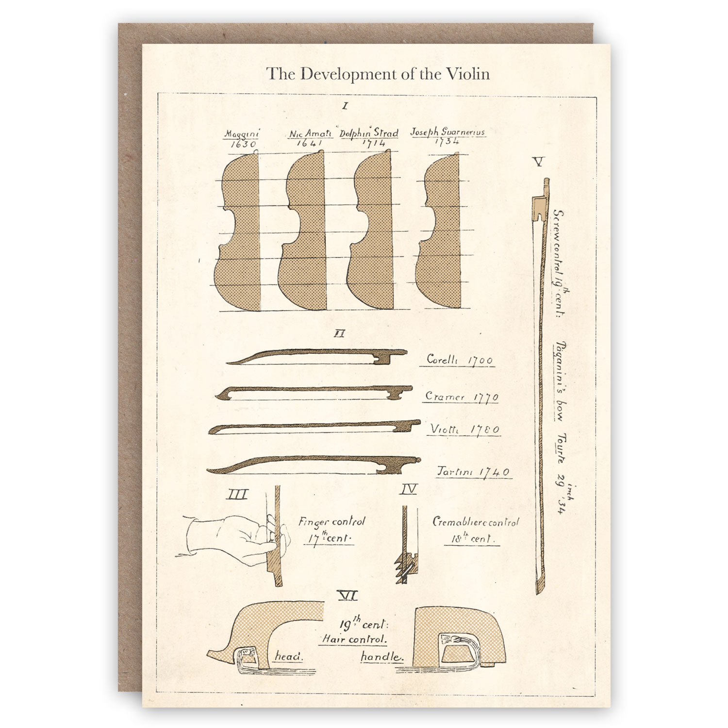 Development of Violins