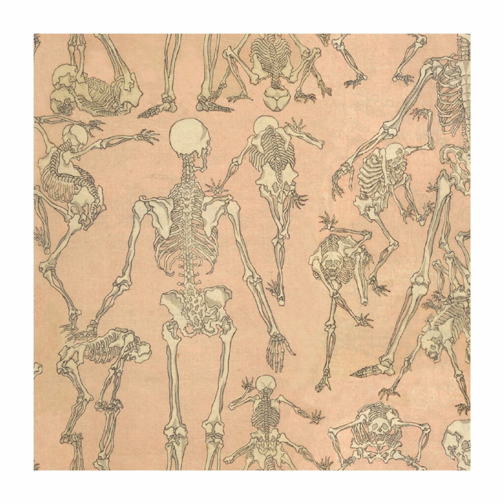 Detail of skeleton wrapping paper adapted from vintage Japanese drawings