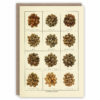 Greeting card illustrating varieties of coffee bean